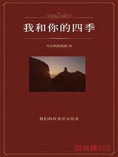 足球进球框